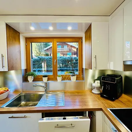 Apartmán Everest Morgins